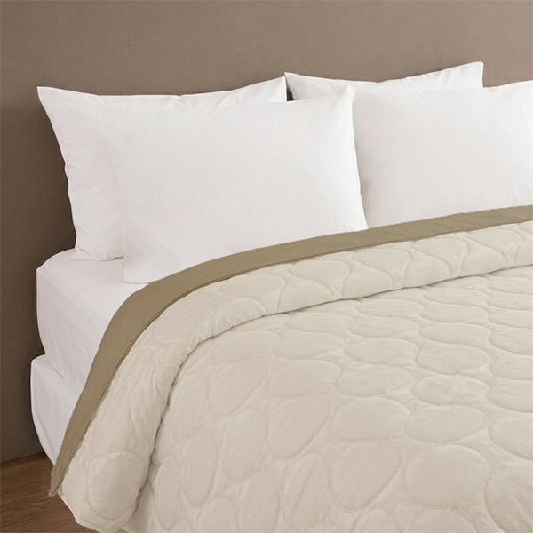 Dreaming Beige
